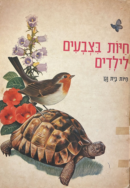 חיות בצבעים לילדים