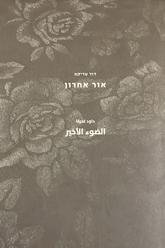 דוד עדיקא - אור אחרון