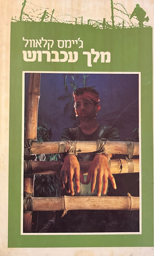 מלך עכברוש