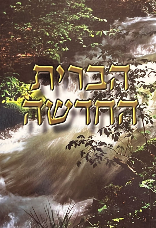 הברית החדשה