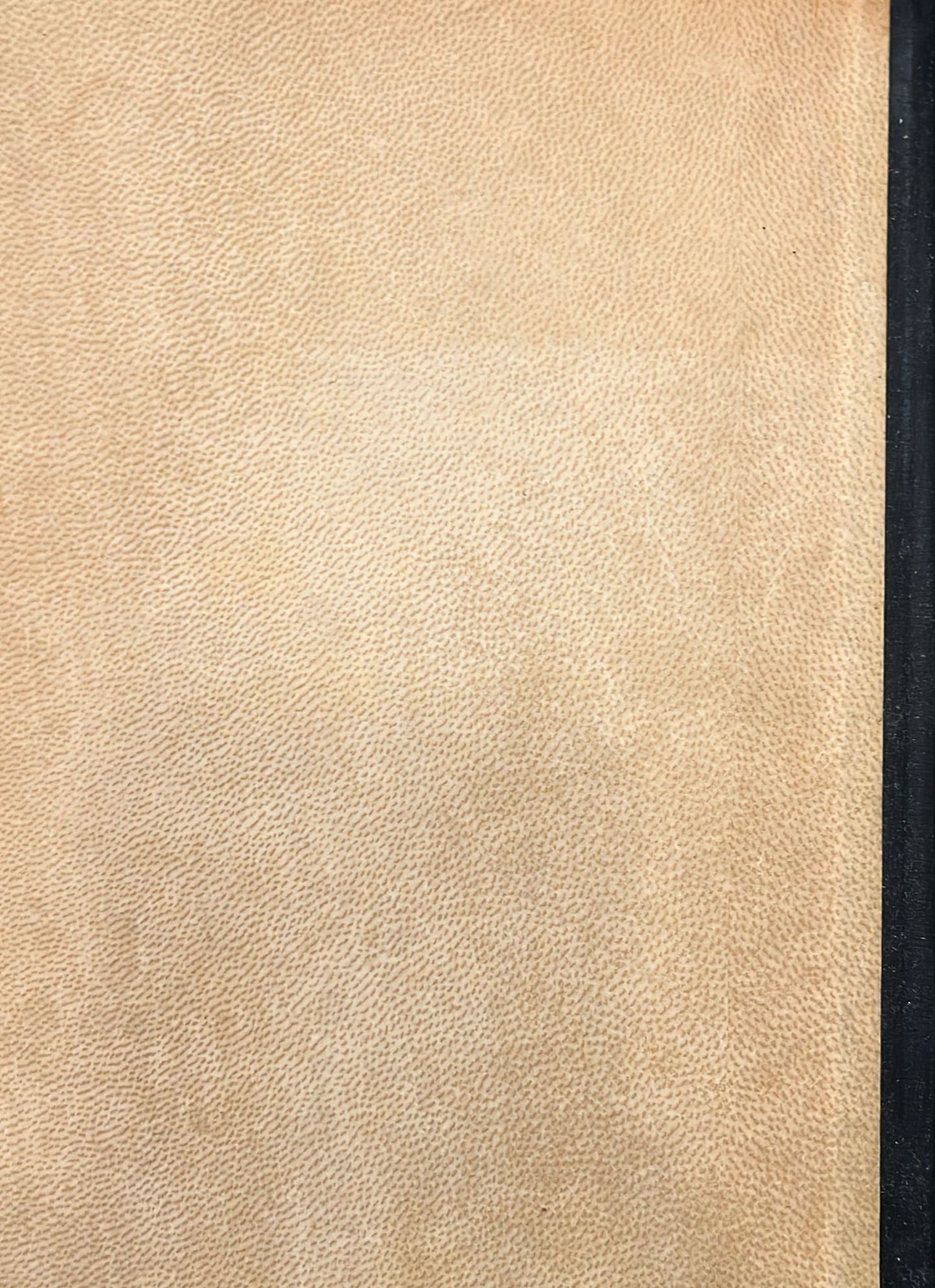 ויליאם שקספיר ומחזותיו