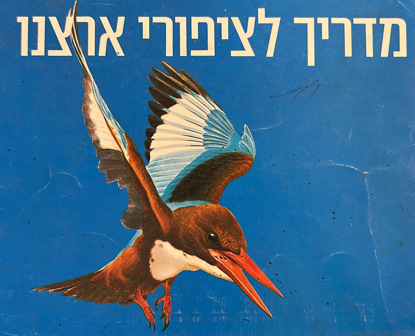 מדריך לציפורי ארצנו