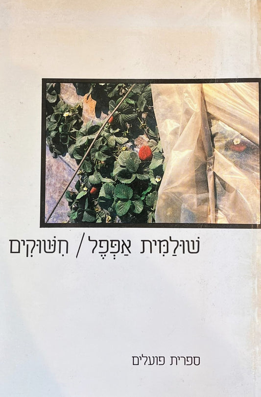 חשוקים