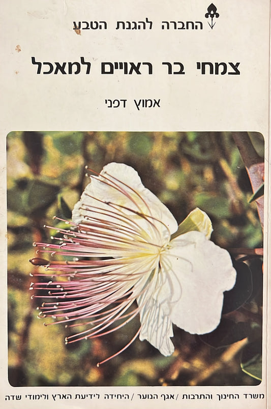 צמחי בר ראויים למאכל