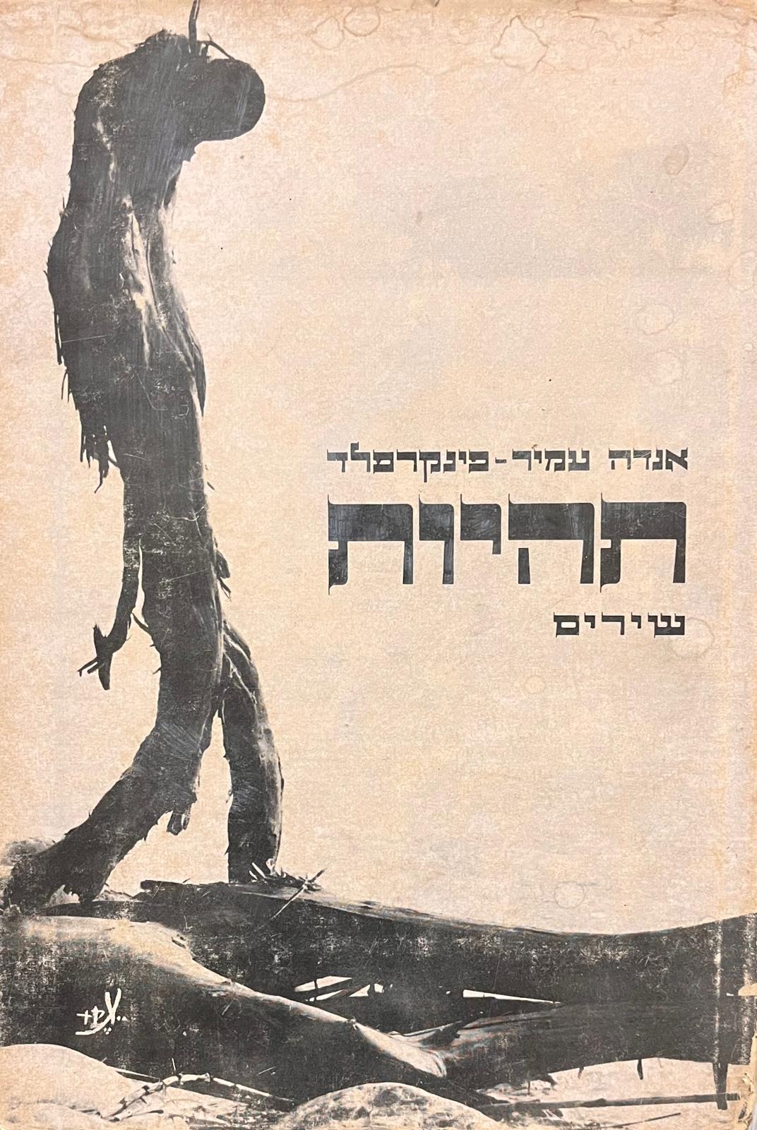 תהיות