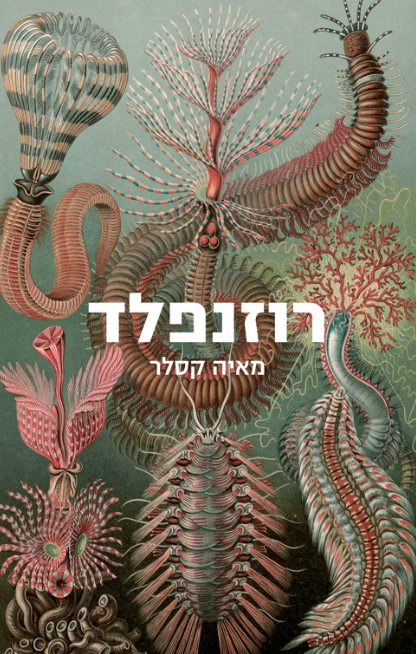 רוזנפלד