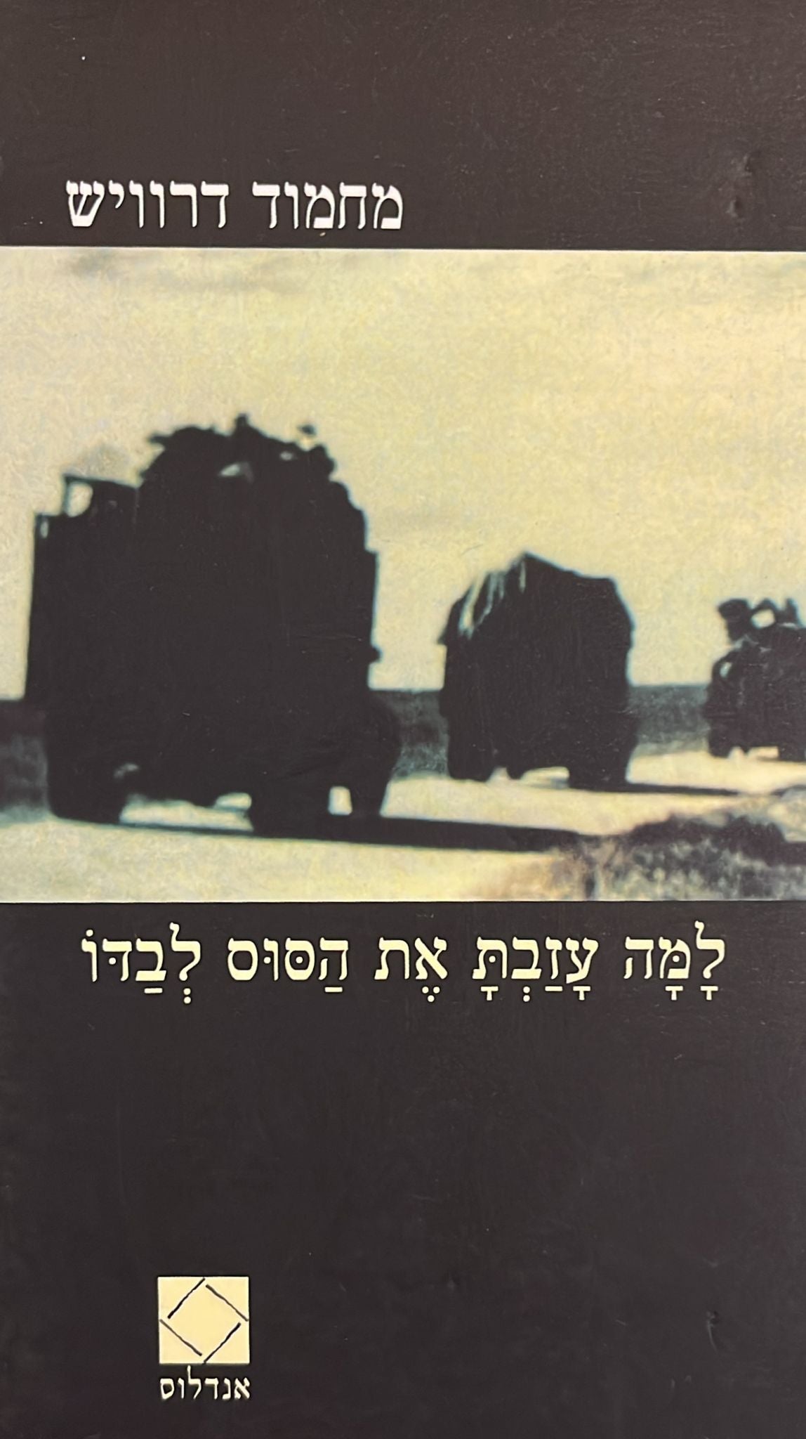 למה עזבת את הסוס לבדו