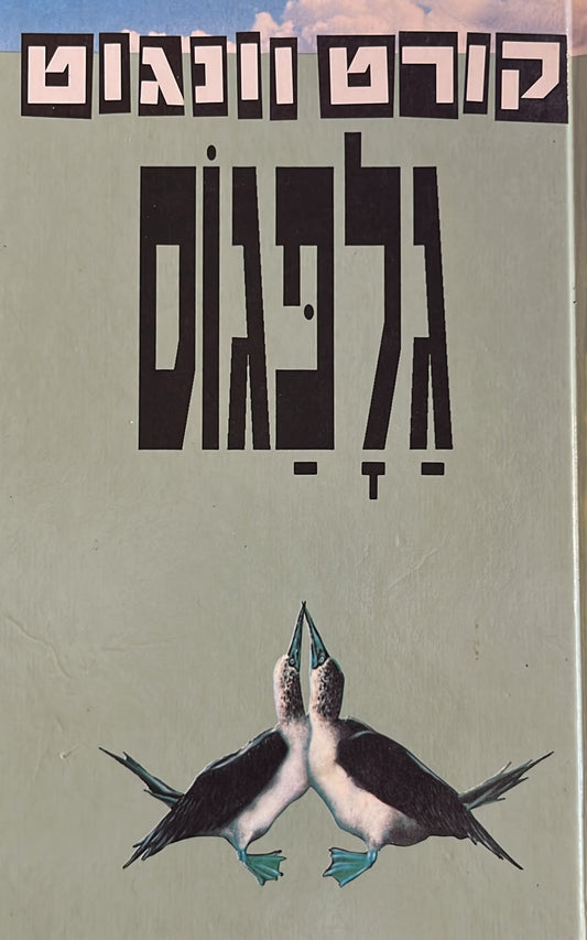 גלפגוס