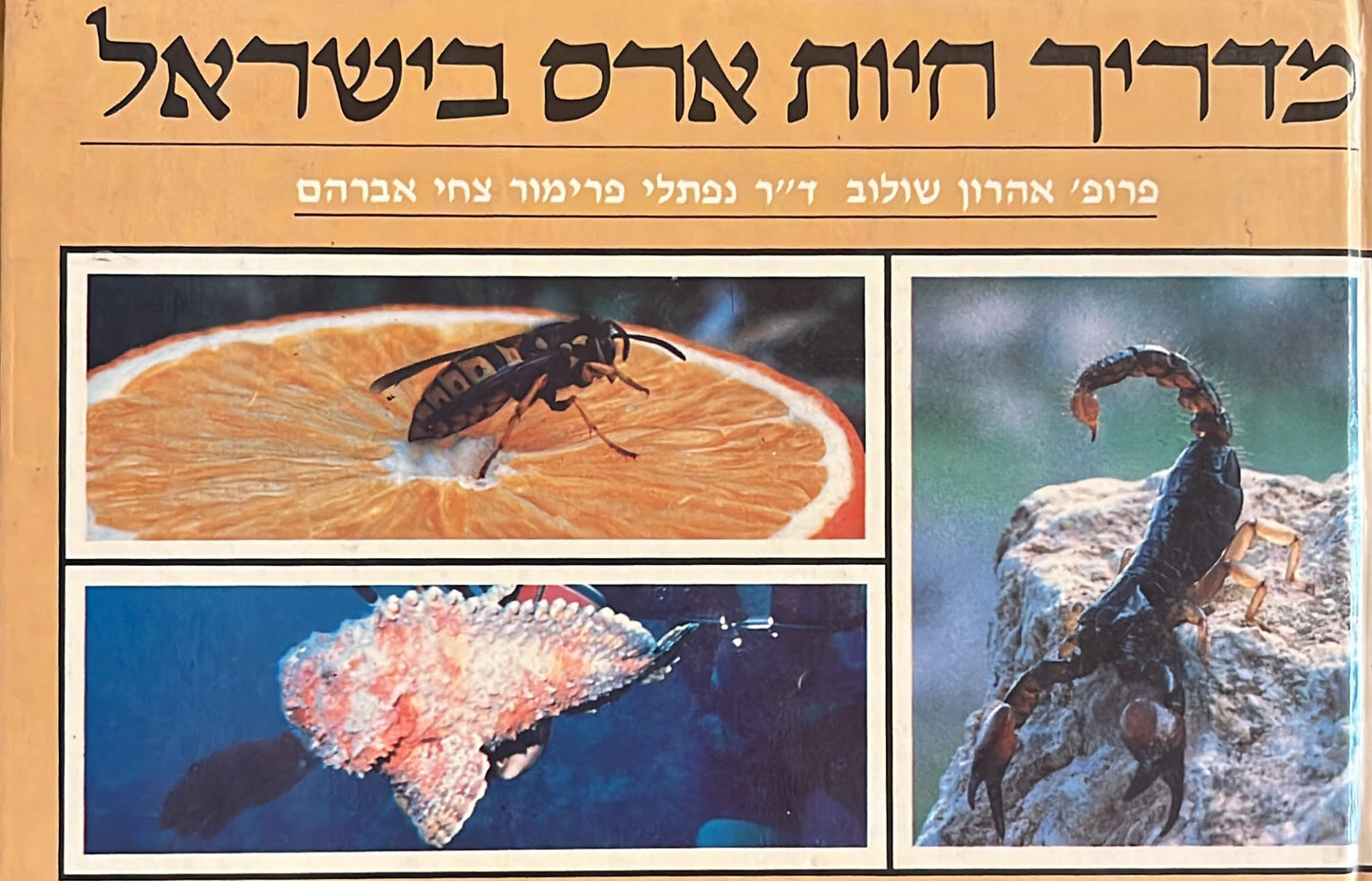 מדריך חיות ארס בישראל