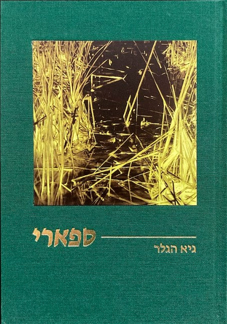 ספארי