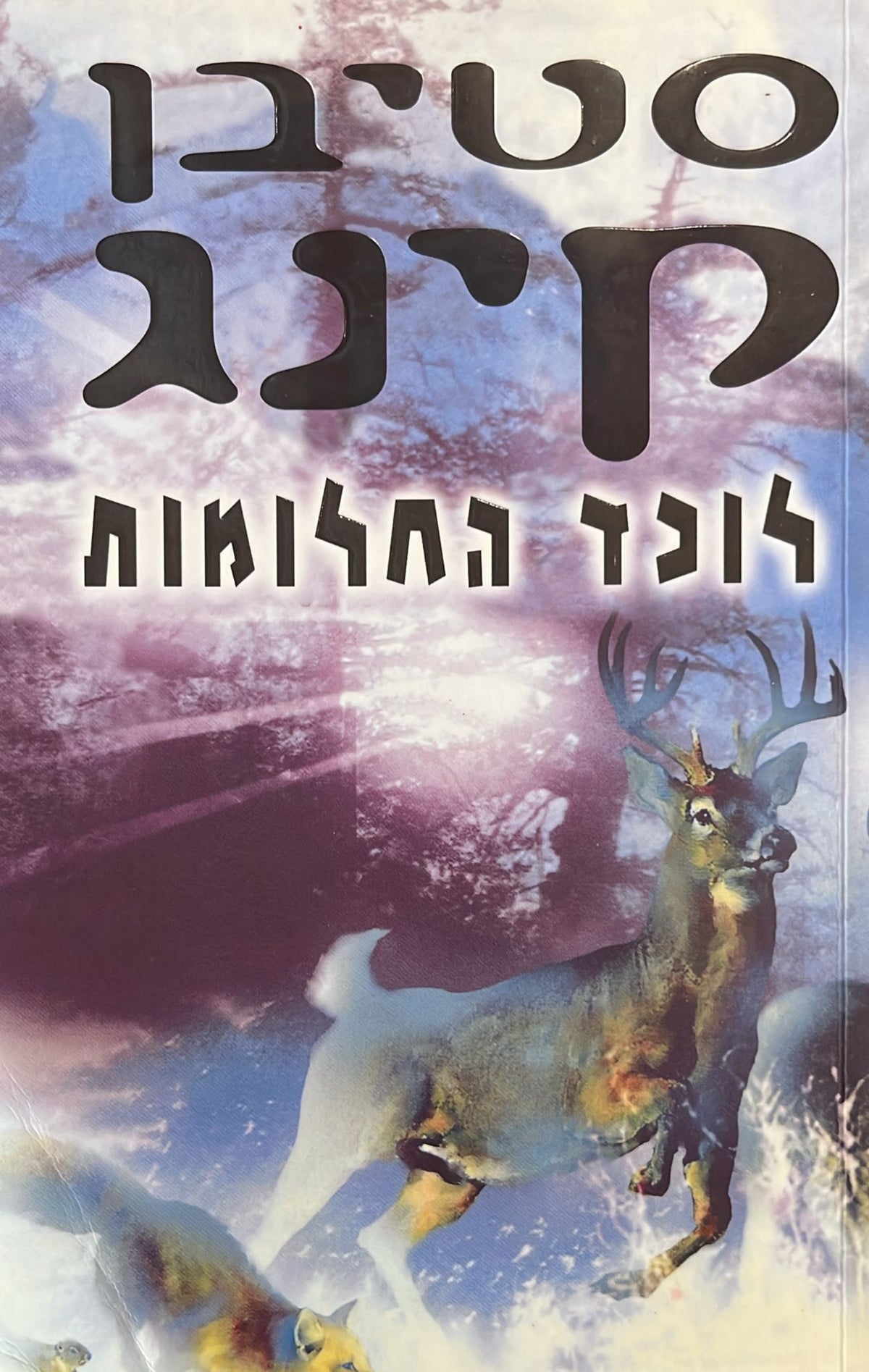 לוכד החלומות
