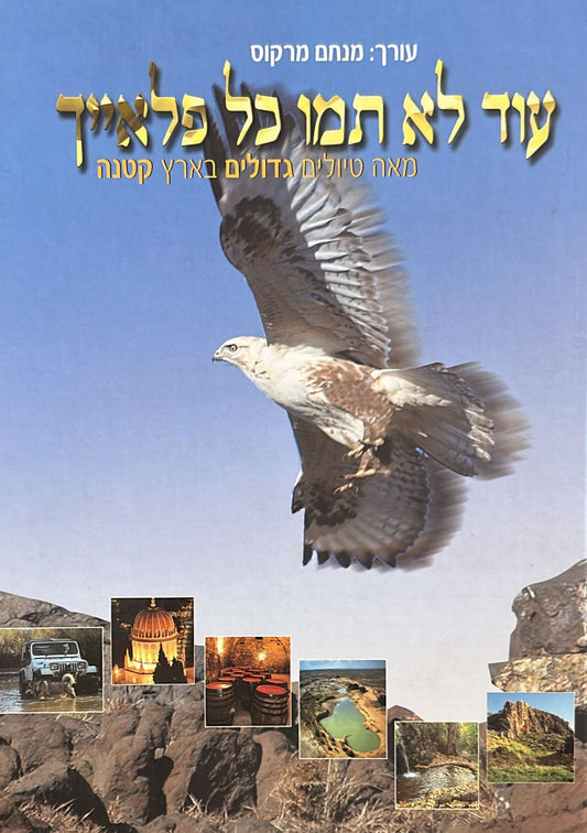 עוד לא תמו כל פלאייך