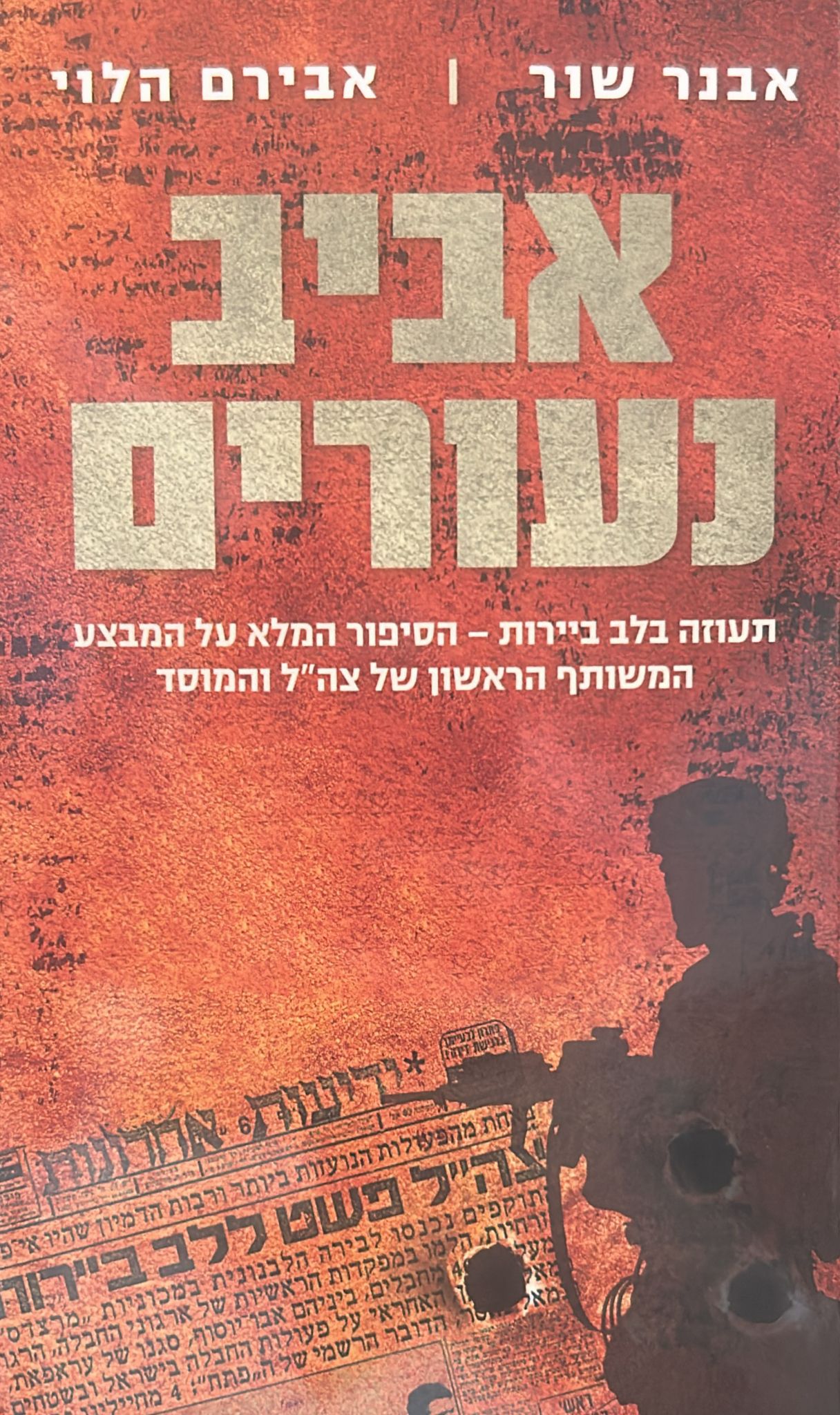 אביב נעורים