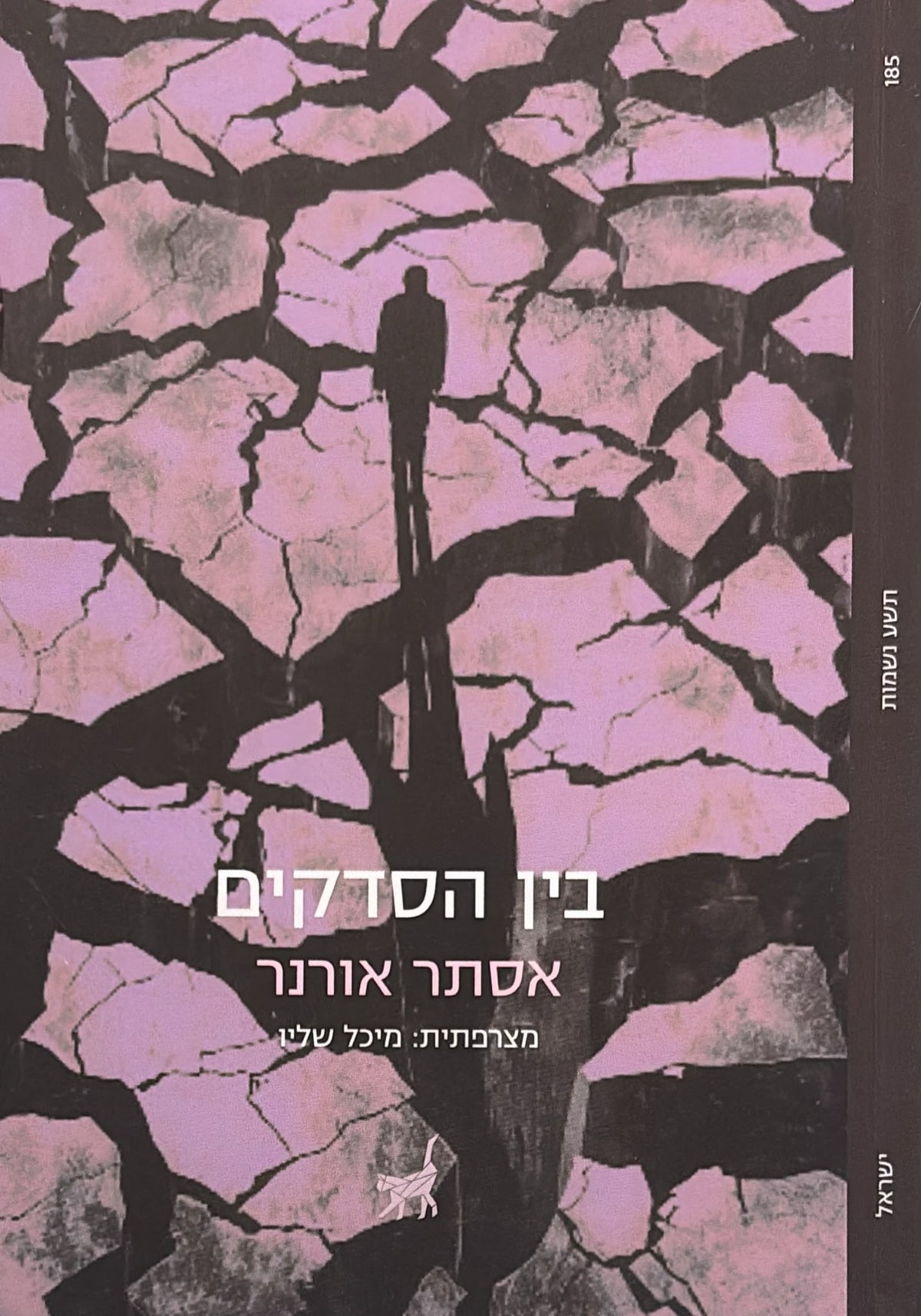 בין הסדקים