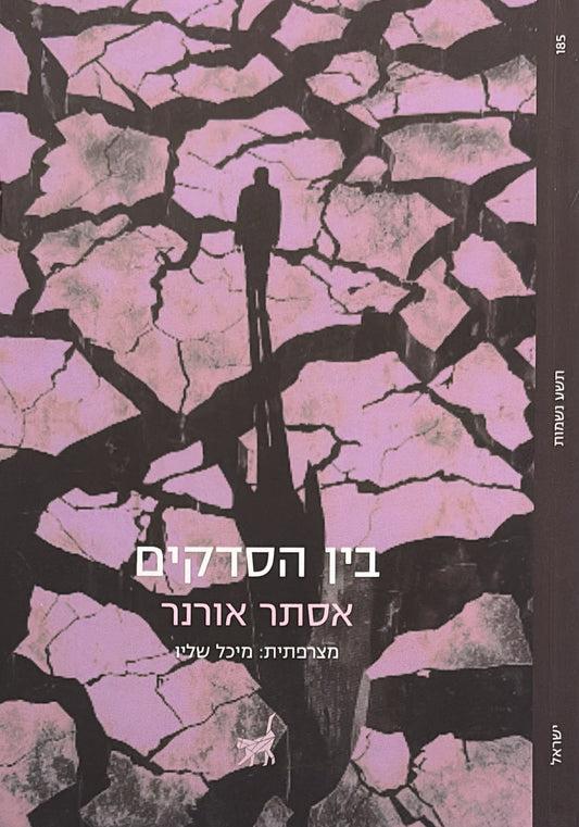 בין הסדקים