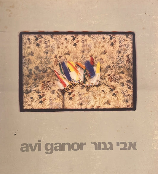 אבי גנור : צילום - קטלוג תערוכה