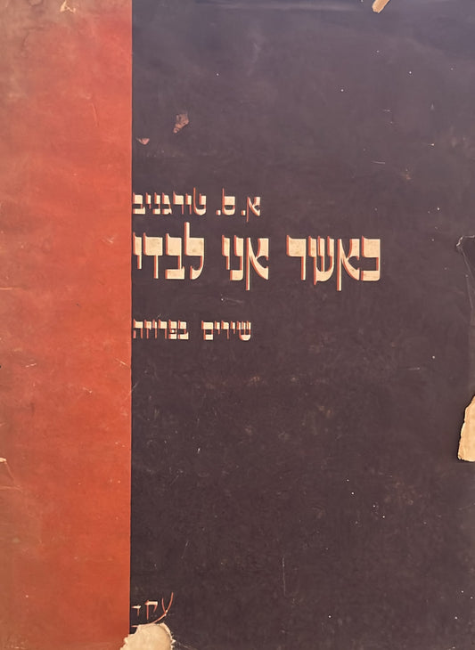 כאשר אני לבדי - שירים בפרוזה