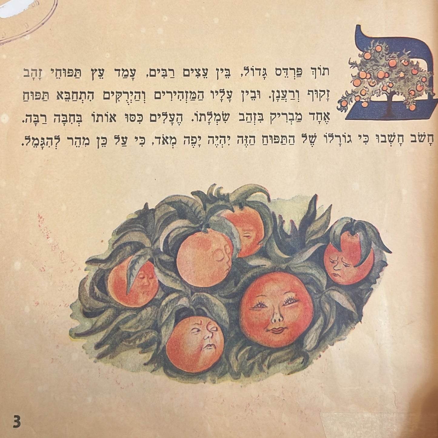 תפוח הזהב הגאה